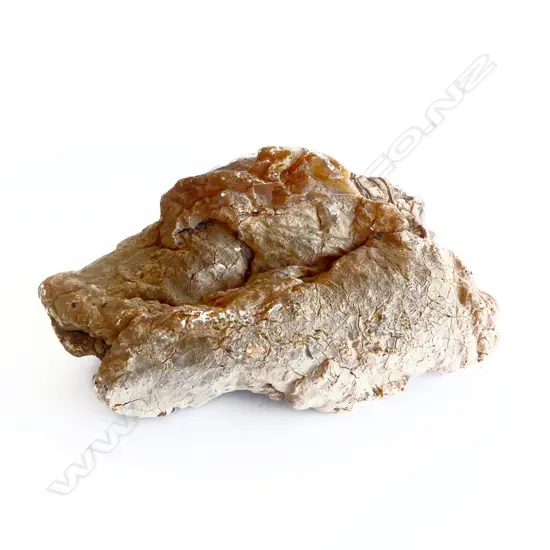 UNPOLISHED KAURI GUM NUGGET L190 H90MM