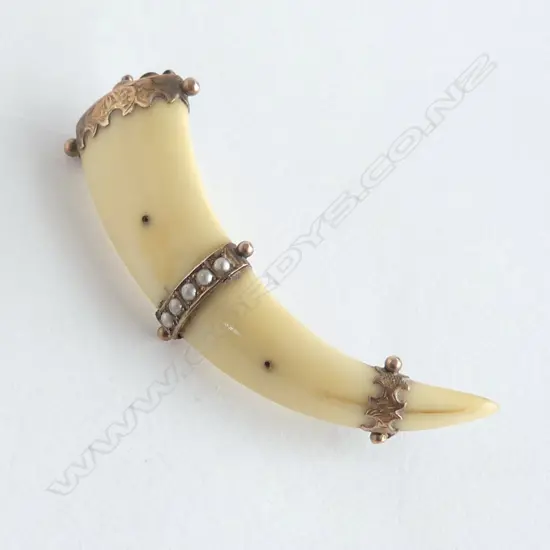 9ct TUSK BROOCH W.60mm no pin