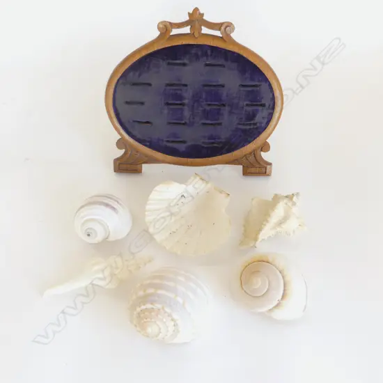 ANTIQUE RING DISPLAY H.195mm + 6 SHELLS