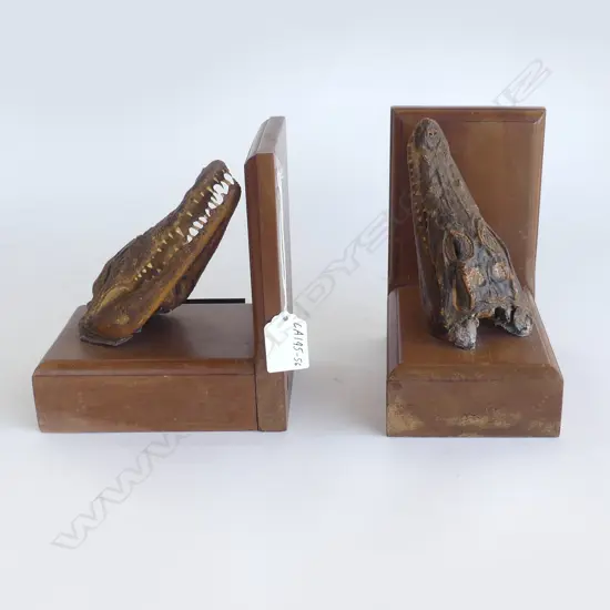 WOODEN BOOKENDS WITH HEAD OF A TAXIDERMY CROCODILE, H.170MM