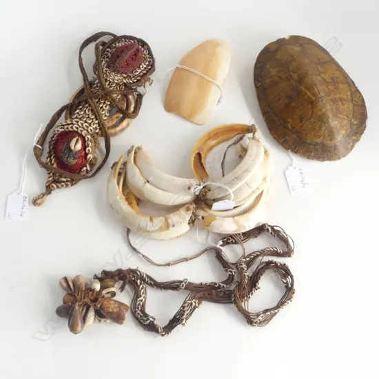 ASST P.N.G SHELL ADORNMENTS WITH SMALL TURTLE SHELL L 160 MM