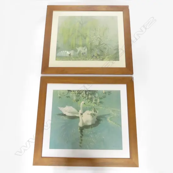 2 LG VERNON WARD SWAN PRINTS 490x590mm