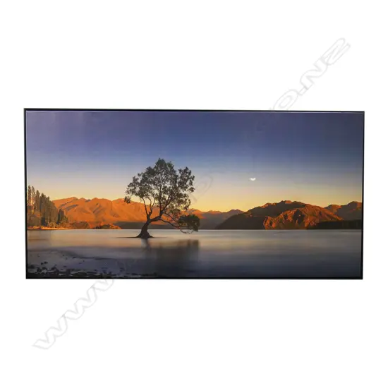 LG CANVAS PRINT, LAKE WANAKA WILLOW 700x1400mm
