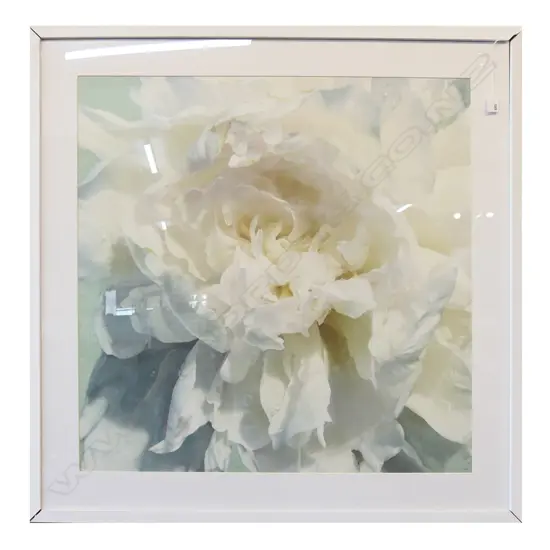 LG FRAMED WHITE FLORAL PRINT 1000x1000mm overall size