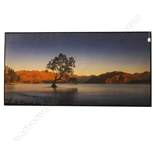LG CANVAS PRINT, LAKE WANAKA WILLOW 700x1400mm FRAME FAULTED