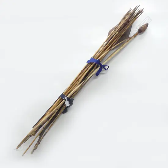 ASST LOT OF P.N.G ARROWS /2 BOWS AND PADDLE H1290 MM