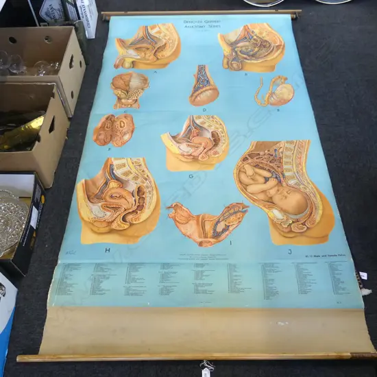 VINTAGE MEDICAL CHART