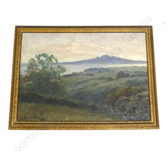 VINTAGE SIGNED OIL, AUCKLAND LANDSCAPE w. RANGITOTO, OIL ON BOARD, 420x600mm
