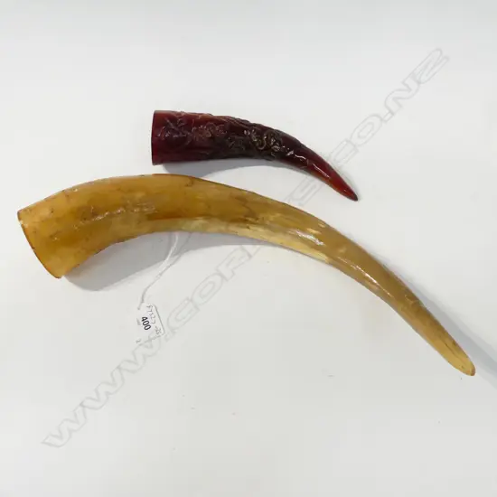   TWO BUFFALO HORN [ONE CARVED] L210-340MM