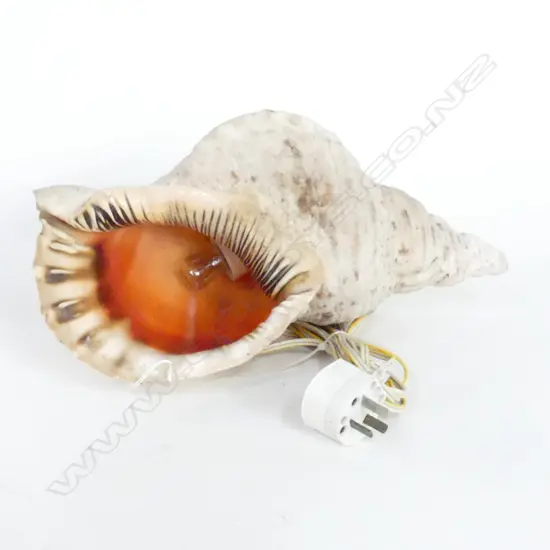VINTAGE CONCH SHELL LAMP L380MM