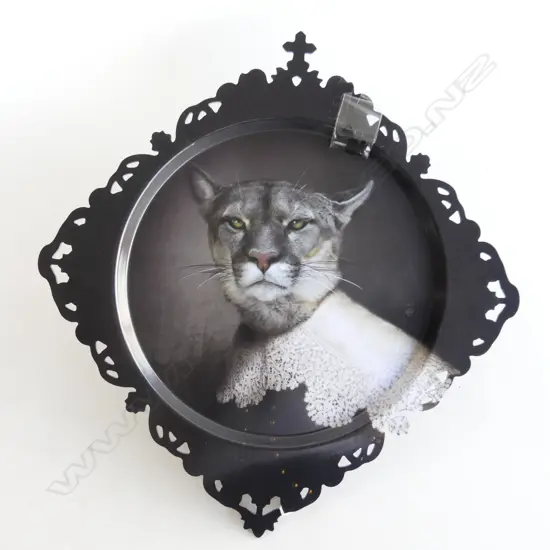 'URBIN' PUMA TRAY BY IBRIDE FRANCE 525x500mm