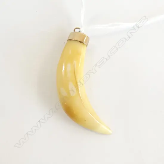 9CT GOLD CAPPED TIGERS TOOTH L60MM