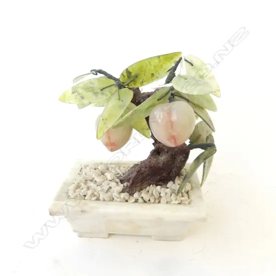 ORIENTAL JADE TREE H.150m