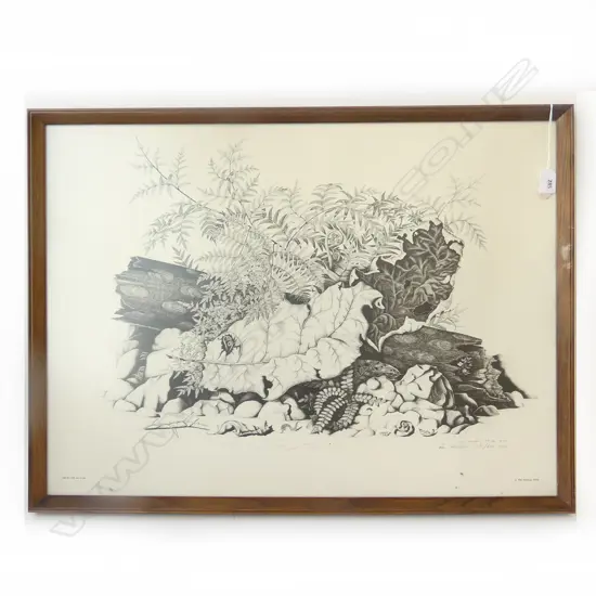 REI HAMON LTD ED 1976 PRINT 116/600 740X540mm