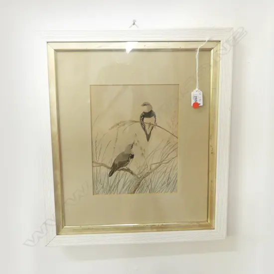 NEVILLE CAYLEY, BIRD STUDY 'DIAMOND SPARROW NSW' WATERCOLOUR,  SIGNED & DATED 1895, 240X180mm 