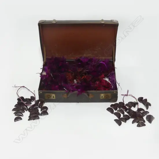 SMALL SUITCASE OF SAMOAN ISLAND FEATHER & NUT SHELL  LAIS