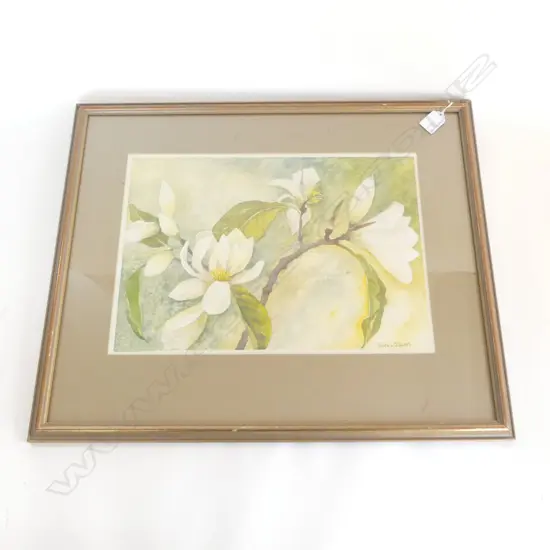 WATERCOLOUR, DIANA L STEWART, 270mmx390mm