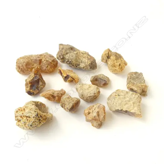 13 PIECES OF OLD NZ KAURI GUM, L.120MM (LONGEST)