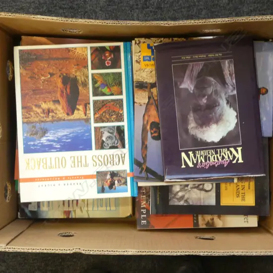 BOX LOT ETHNIC REF BOOKS