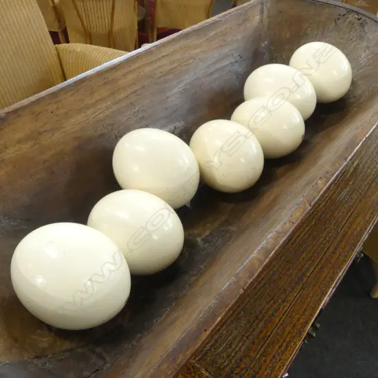 7 OSTRICH EGGS L.150mm