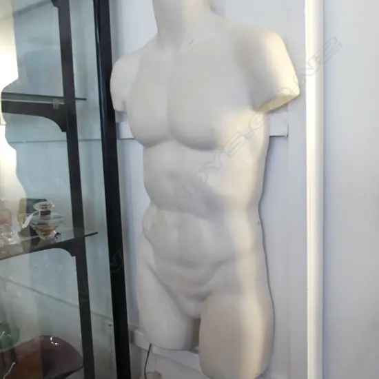 MALE TORSO (ILLUMATES) H.860mm