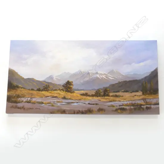OIL ON  CANVAS THE STUNNING SOUTH ISLAND BY JANICE SKINNER H450 L910MM
