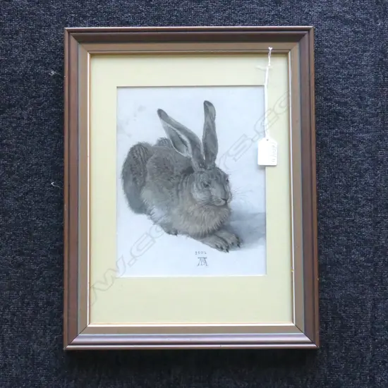 DURER YOUNG HARE PRINT 240x190mm