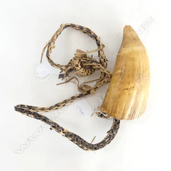 OLD probably 19thC FIJIAN TABUA (chips) L.165mm. chip to pointed end