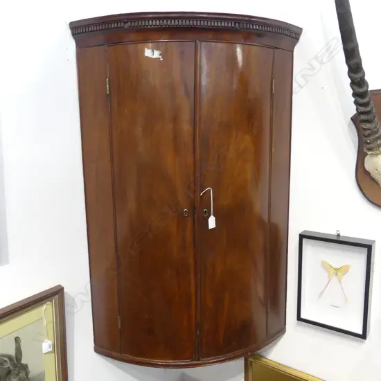 GEORGIAN MAHOGANY CORNER CABINET 490x490x1000mm