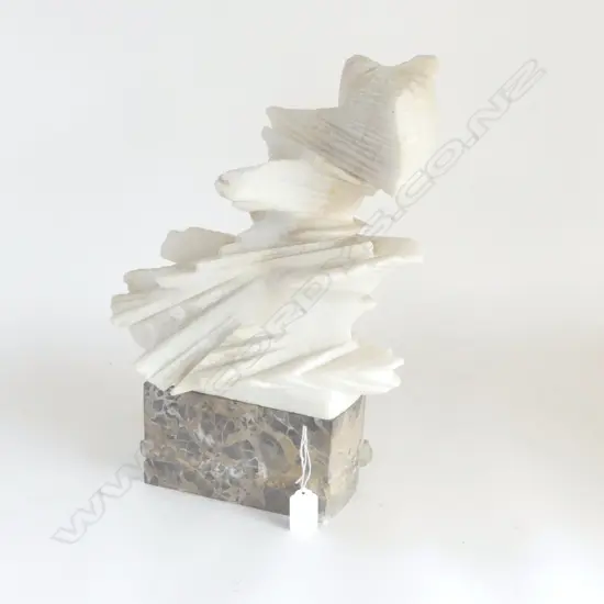 Stephen Woodward (NZ based international)