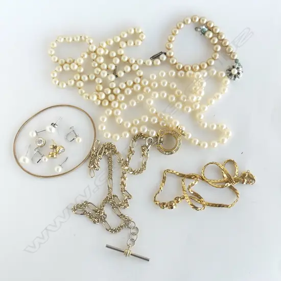 BAG LOT COSTUME JEWLERY