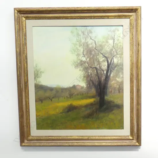 ARTIST UKNOWN, ITALIAN OLIVE ORCHARD? OIL ON CANVAS 685x590mm
