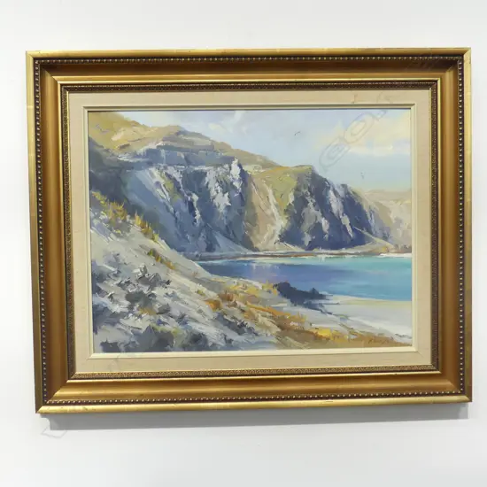 D. R. NEILSON 'WAIRARAPA CLIFFS' OIL ON BOARD 440x590mm