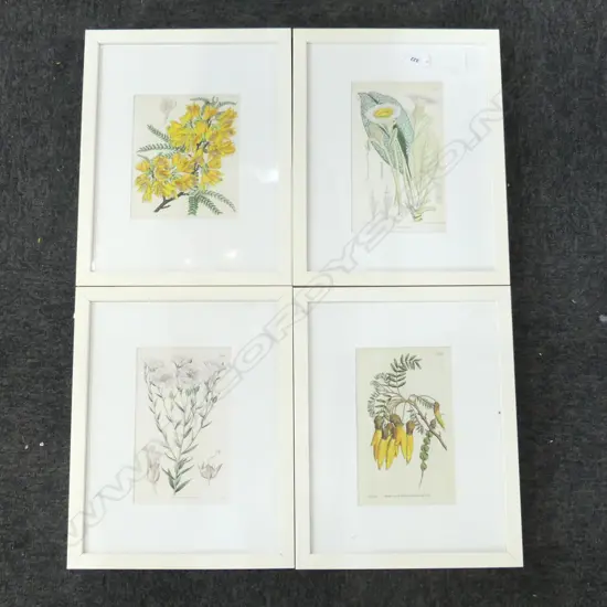 4 FLORAL PRINTS 225x135mm