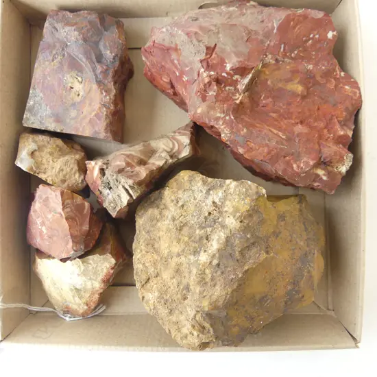 COLLECTION NZ JASPER 