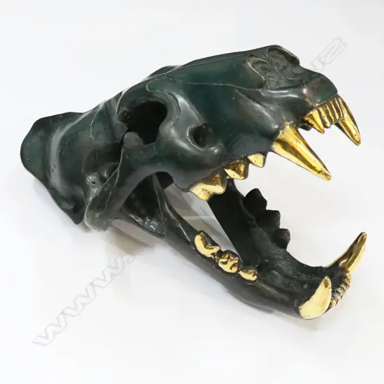 BRONZE TIGER SKULL L.350mm