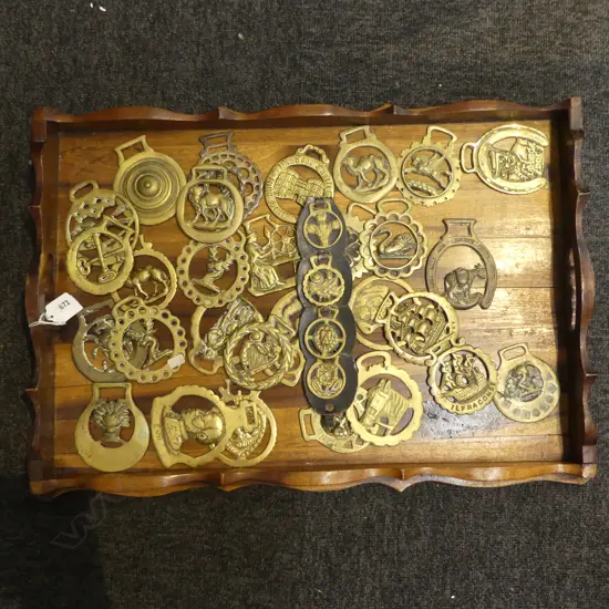 HARDWOOD GALLERY TRAY L550MM & WITH COLLECTION OF 30 VINTAGE HORSE BRASSES