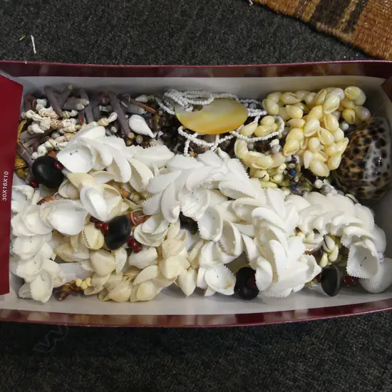 COLLECTION OF PACIFIC ISLAND SHELL & SEED NECKLACES