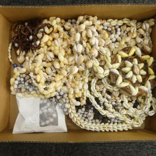 COLLECTION OF PACIFIC ISLAND SHELL & SEED NECKLACES