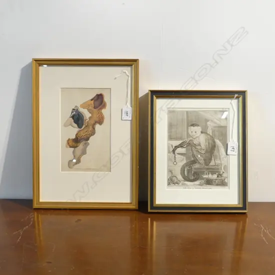 TWO GILT FRAMED ENGRAVINGS, MONKEY & SEA SLUGS, 370 x 260mm (LARGEST)