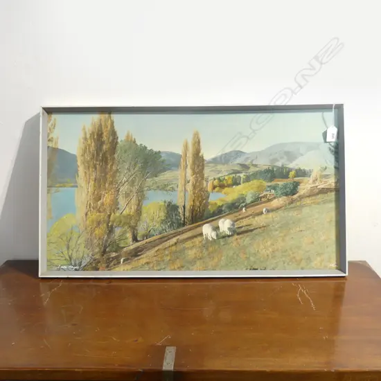 WHITES AVIATION PRINT, LAKE HAYES 365x670mm