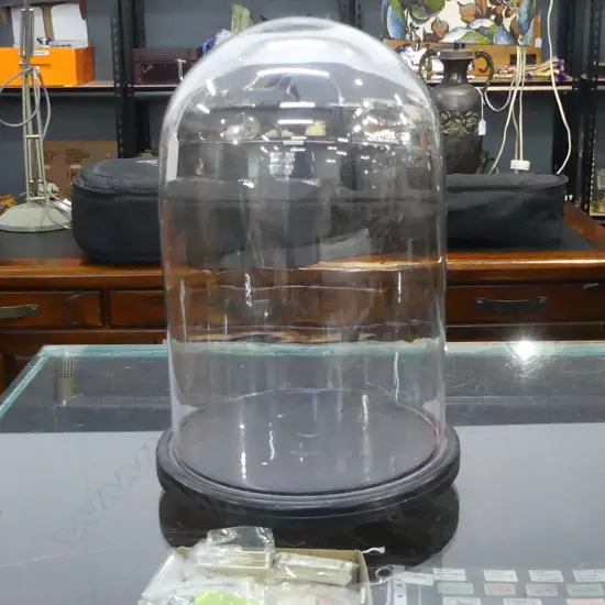 ROUND GLASS DISPLAY DOME ON WOOD BASE, H.330mm