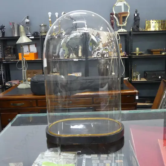 ANTIQUE OVOID GLASS DISPLAY DOME ON WOOD BASE (BORER), H.500mm...