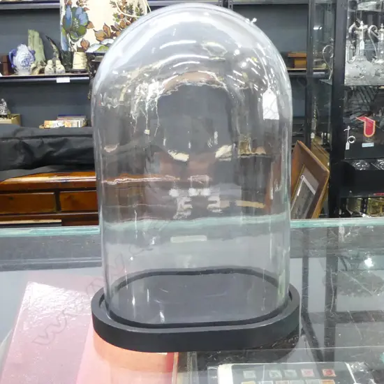 MODERN OVOID GLASS DISPLAY DOME w. BLACK BASE, H.380mm...