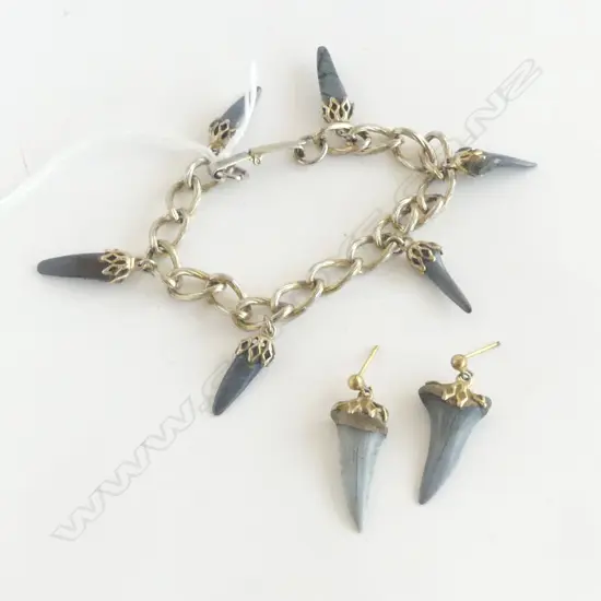 SILVER & TOOTH BRACELET & EARRINGS SET