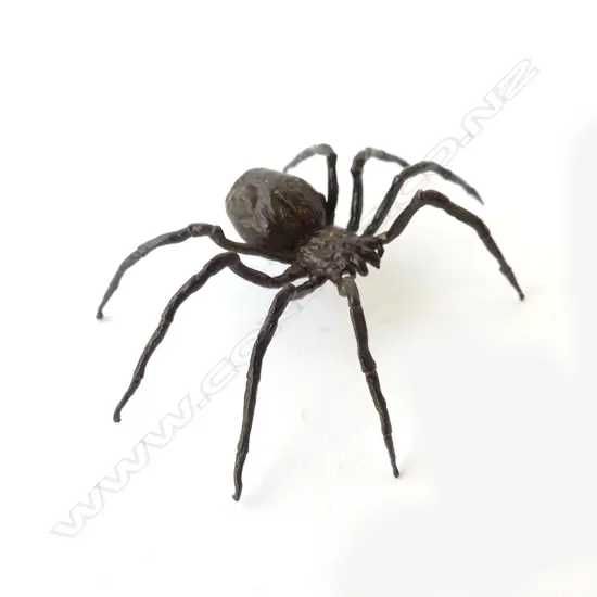 BRONZED METAL SPIDER W.75mm