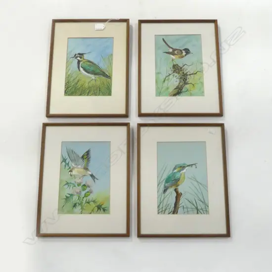 SET OF 4 INDERSTICTLY SIGNED W/CS BIRD STUDIES  H380 W290MM