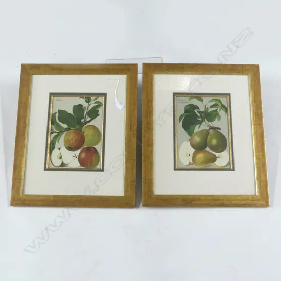 PR QUALITY GILT FRAMED OLD CHROMOLITHOGRAPHIC PRINTS APPLES + PEARS 530 x 430mm