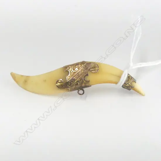 c.1900 MIZPAH ANIMAL TOOTH BROOCH c.1900