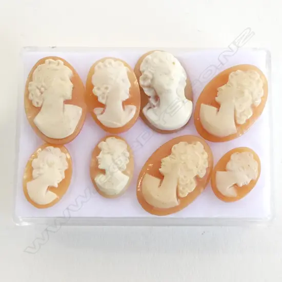 8 SHELL CAMEOS H.15mm